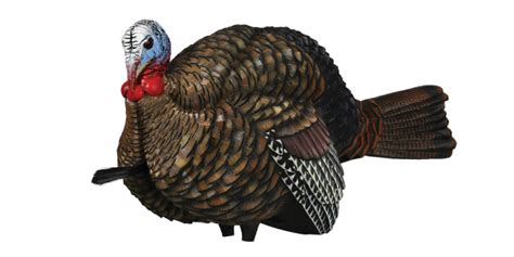 [Gear Hunter] Positioning Your Spring Turkey Decoys | OutdoorHub