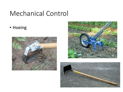 Weed Control Methods