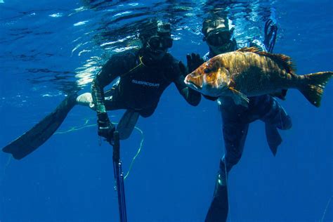 Fishing in Cozumel: All You Need to Know (Updated 2022)