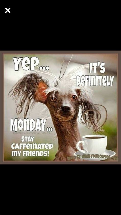 Funny Monday Coffee Meme