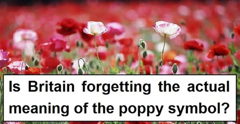 Is Britain forgetting the meaning of the poppy symbol? | Vox Political