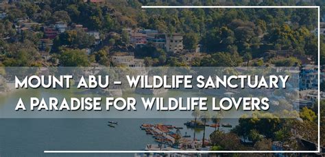 Mount Abu -Wildlife Sanctuary - A Paradise for Wildlife Lovers