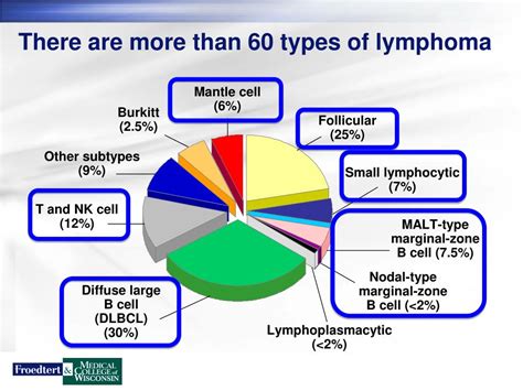 PPT - Lymphoma Overview PowerPoint Presentation, free download - ID:4501266