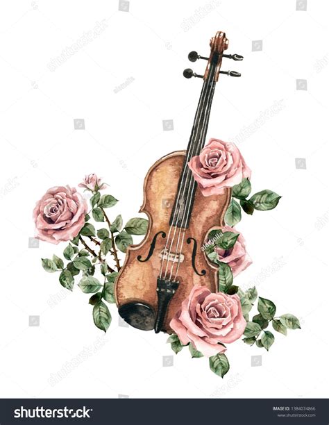 Watercolor musical instrument. Violin soft pink roses bush hand paint ...