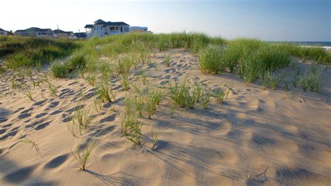 Sandbridge, Virginia Beach Vacation Rentals: house rentals & more | Vrbo