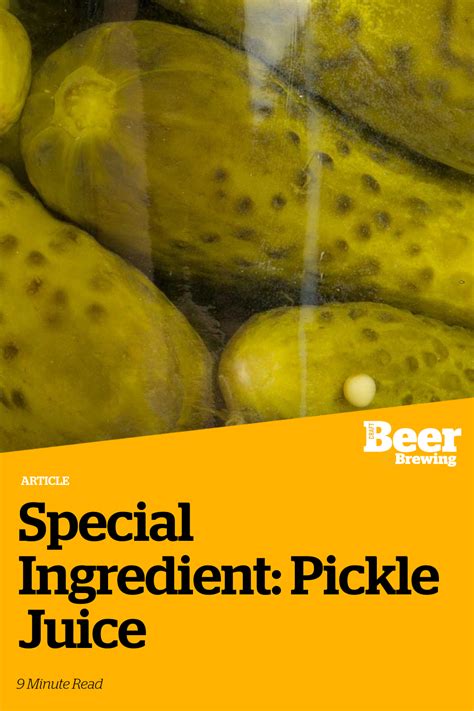 Special Ingredient: Pickle Juice | Craft Beer & Brewing