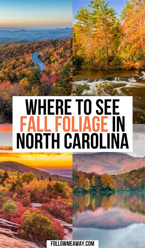 10 Best Places to Experience Fall in North Carolina | Reizen, Travel, Adventure