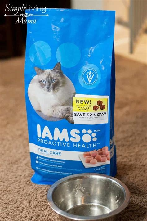 Why We Switched to IAMS™ Cat Food - Simple Living Mama