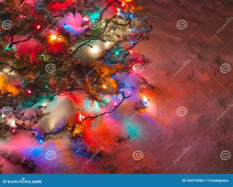 Snow Covered Christmas Tree Stock Photo - Image of illuminated, season ...