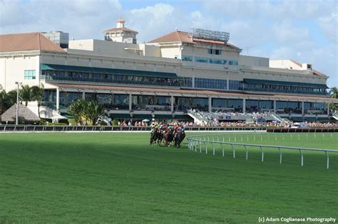 How to bet the $1,066,989 Rainbow 6 mandatory dispersal at G | TwinSpires