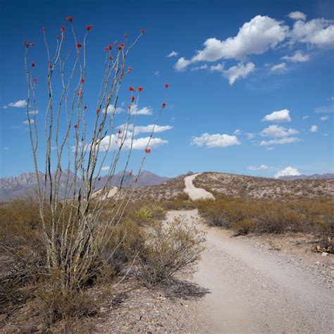 9 Things To Do In Beautiful Las Cruces, New Mexico | TravelAwaits