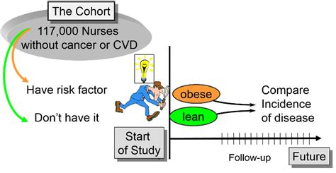 Prospective Cohort Study