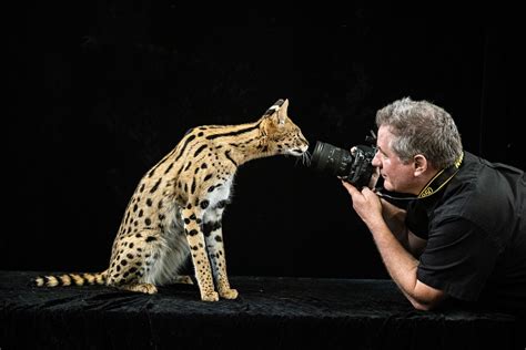 Joel Sartore's portraits capture animals that might be extinct in the wild