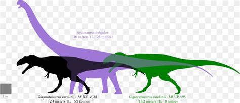 Giganotosaurus Argentinosaurus Dinosaur Size Tyrannosaurus Mapusaurus ...