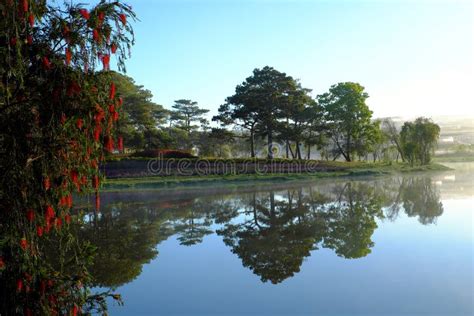 Quiet, Peaceful Scenery of Than Tho Lake, Da Lat Stock Photo - Image of flower, scene: 117273652