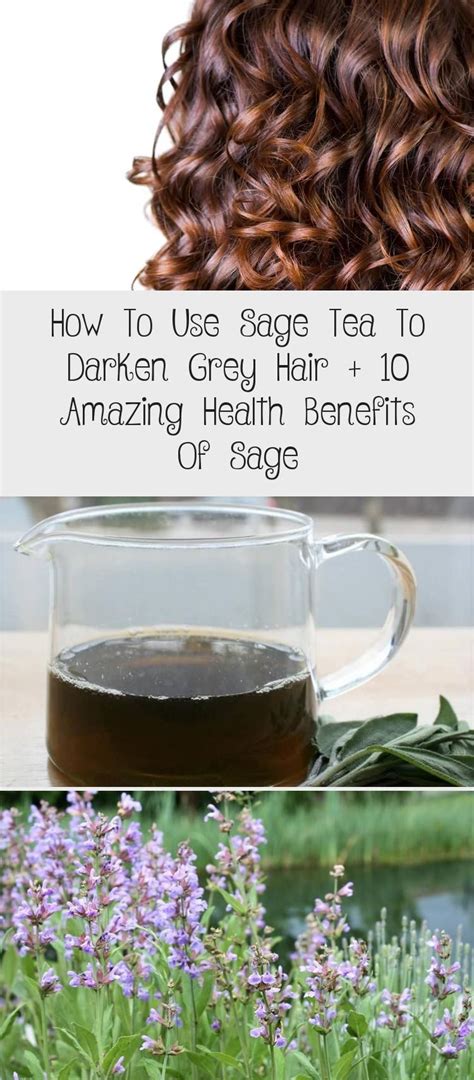 Sage is a very nourishing and moisturizing herb for hair. Sage tea ...