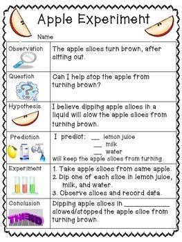 In the Scientific Method Which Step Would Normally Follow Observation - Francisco-has-Morris