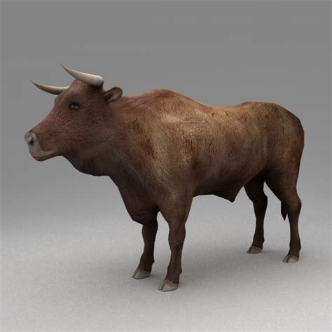 Animated bull 3D Model $24 - .3ds .fbx .obj .unknown .max - Free3D