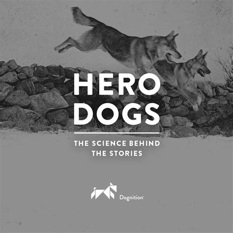 Hero Dogs: The Science Behind The Stories - Dognition