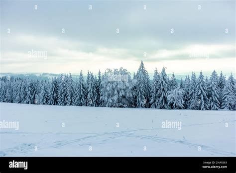 Beautiful winter landscape on the heights of the Thuringian Forest near Oberhof - Thuringia ...