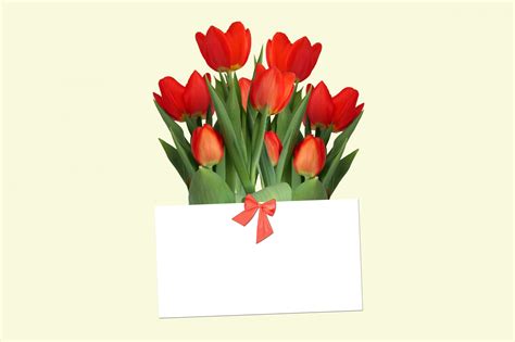 Tulips With Gift Card Free Stock Photo - Public Domain Pictures