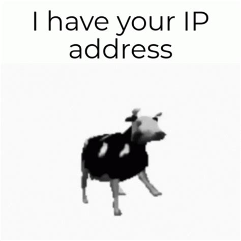 Ip I Have Your Ip Address GIF - Ip I Have Your Ip Address Address - Discover & Share GIFs