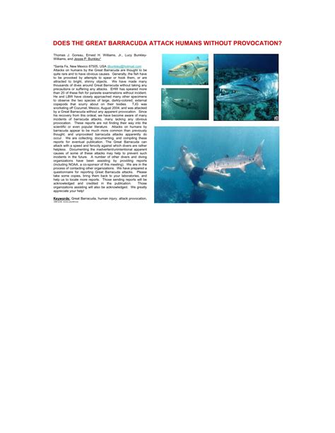 (PDF) DOES THE GREAT BARRACUDA ATTACK HUMANS WITHOUT PROVOCATION?