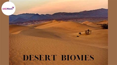 All About Desert Biomes