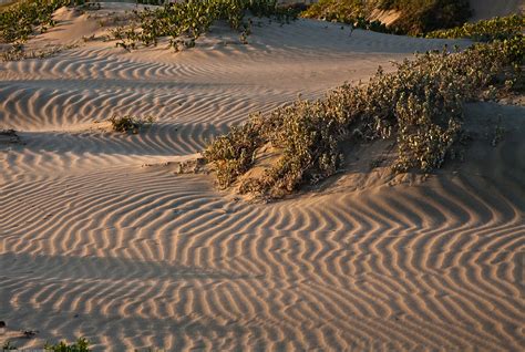 Shadow patterns on drifting sand dunes before sunset on Mo… | Flickr