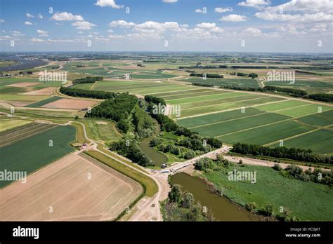 Netherlands, Werkendam, Biesbosch National Park. Fresh water tidal area ...