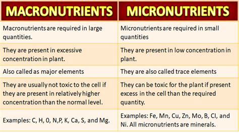 Difference Between Macronutrients and Micronutrients | Free Biology ...