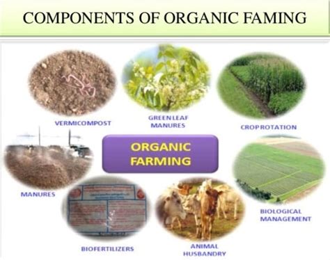 Organic Agriculture Information Guide | Agri Farming