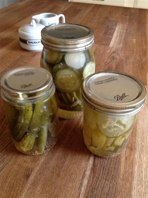 Sliced Dill Pickle Recipe | Canning Pickles - Ball® Fresh Preserving | Pickling recipes, Pickles ...