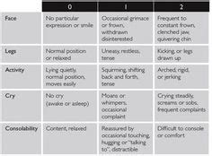 flacc pain scale - Google Search | Nursing Stuff | Pinterest | Pain ...