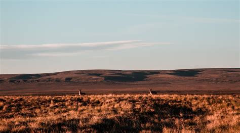 Roamin' Free & Growing Up In Rock Springs - Wyoming Wildlife Federation