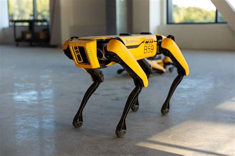 You Can Now Buy Spot, Singapore's Social Distancing Robot Dog, For US ...