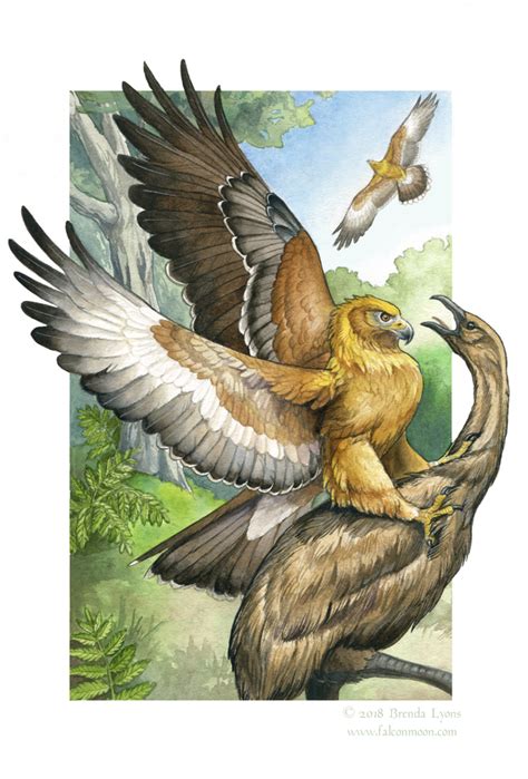 Haast's Eagle - Sixth Extinction Deck by windfalcon on DeviantArt