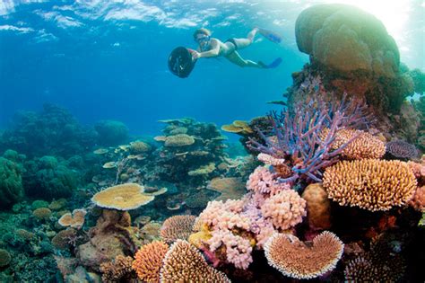 Top snorkelling spots in Australia - Australian Geographic