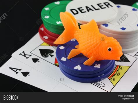 Fish Poker Image & Photo (Free Trial) | Bigstock