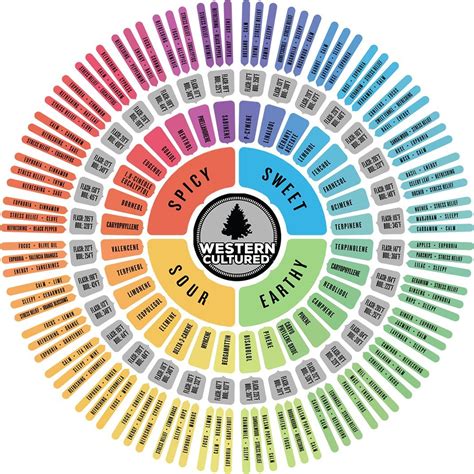 Terp Talks: Terpenes and the Entourage Effect