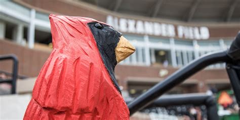 Meet Chuck, Ball State baseball's magic mascot