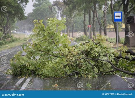 Wind Storm Damage stock image. Image of branch, break - 59507805