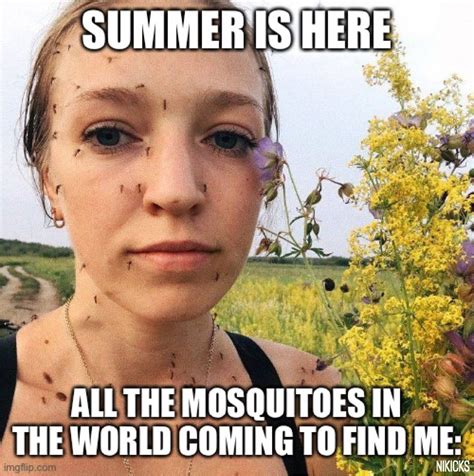 Mosquitoes Meme | Mosquito meme, Mosquito, Mosquito repellent