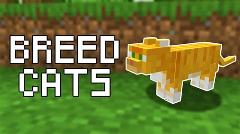 All 11 Cat Breeds In Minecraft - Dogs And Cats Wallpaper