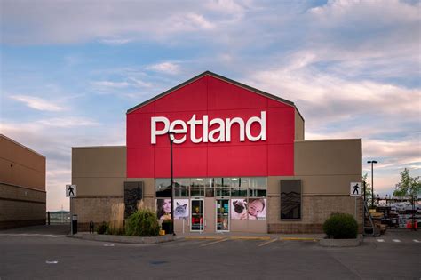 Petland class action alleges company sends unsolicited texts - Top Class Actions