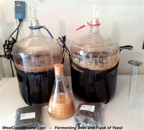 Yeast | Brewers Blog | Home brewing beer, Homemade beer, Home brewing