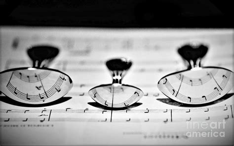 Musical Spoons Photograph by Diann Fisher - Fine Art America