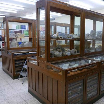 The Collection - Muschelkalk Museum