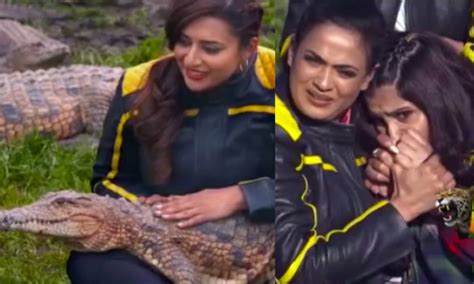 Khatron Ke Khiladi 11: Divyanka Tripathi sings a lullaby for a crocodile as Shweta Tiwari ...