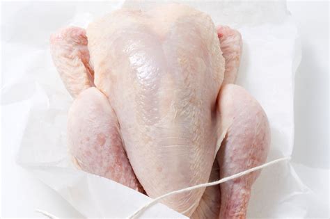 How to Slaughter and Process Chickens for Meat